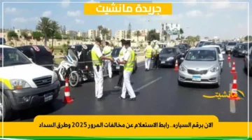 الآن برقم السيارة.. رابط الاستعلام عن مخالفات المرور 2025 وطرق السداد